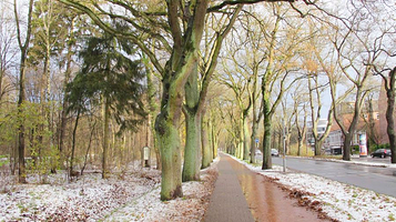 不来梅市民公园