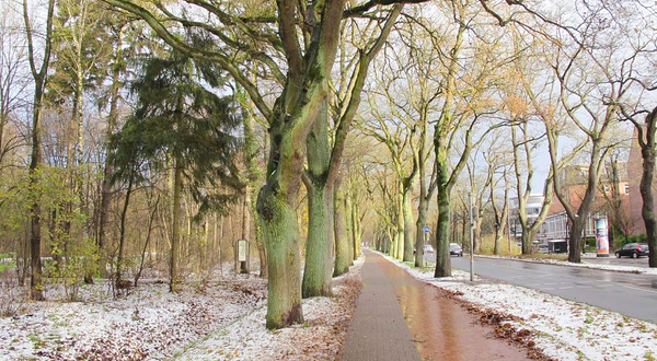 不来梅市民公园