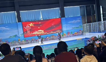 梦幻海洋企鹅馆第 84 张图片
