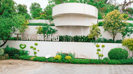 千岛湖植物园第 3 张图片