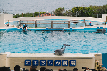 冲绳美丽海水族馆第 11 张图片