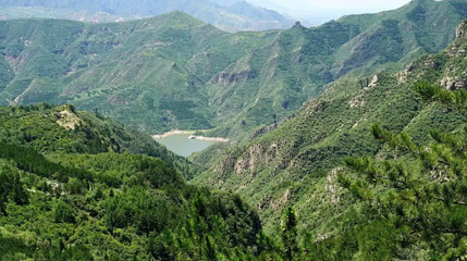 龙山第 1 张图片