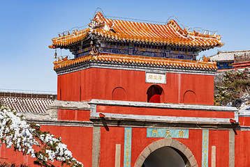 泰山风景区第 388 张图片
