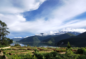纳帕海(依拉草原)第 37 张图片