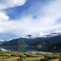 香格里拉高山植物园