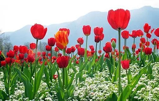 泰安圣井峪旅游度假村