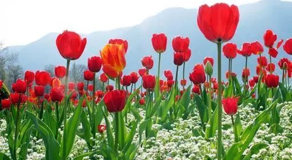 泰安圣井峪旅游度假村