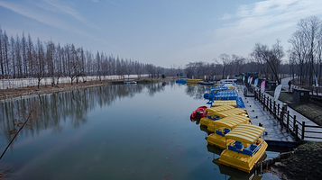 崇明岛国家地质公园