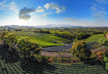 茅山茶海第 1 张图片