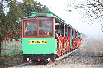 川西竹海景区第 30 张图片