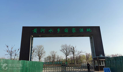 黄河水乡国家湿地公园第 2 张图片
