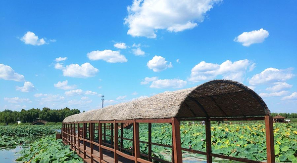 白洋淀水上人家