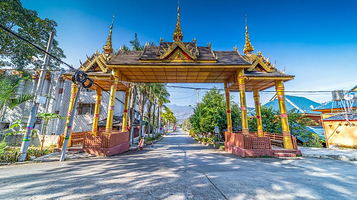 打洛独树成林风景区