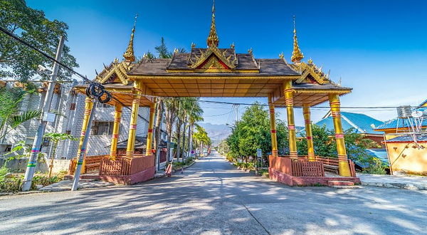 打洛独树成林风景区