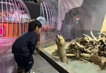 宠院长萌宠乐园第 1 张图片