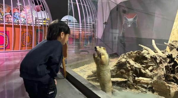 宠院长萌宠乐园