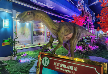 诸城恐龙之旅第 15 张图片