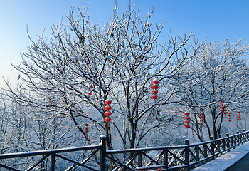仙华山景区第 8 张图片