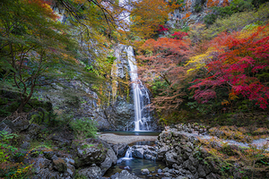 明治之森箕面国定公园