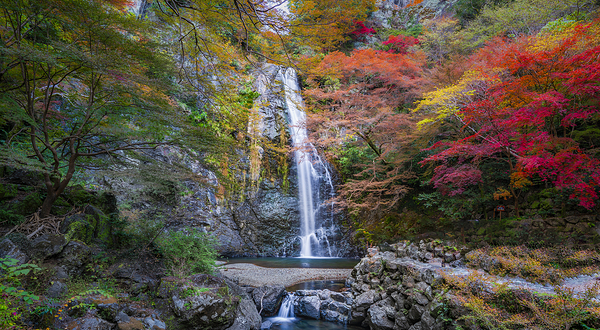 明治之森箕面国定公园