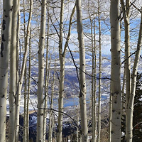 逊克县古纳温雾凇景区