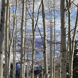 逊克县古纳温雾凇景区