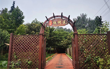 沐林水花湾萤火虫乐园第 4 张图片