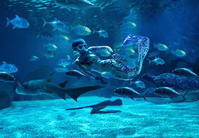 常州海昌海洋探索馆