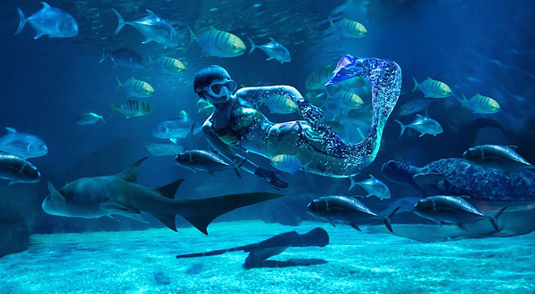 常州海昌海洋探索馆