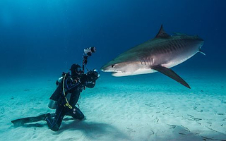 PADI国际潜水培训旗舰店