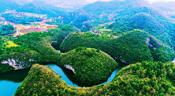 龙湖花海生态观光园