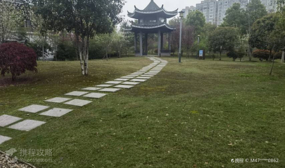 丁玲公园第 2 张图片