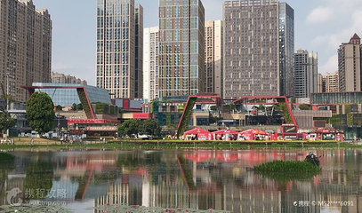 花果园湿地公园阳光草坪第 3 张图片
