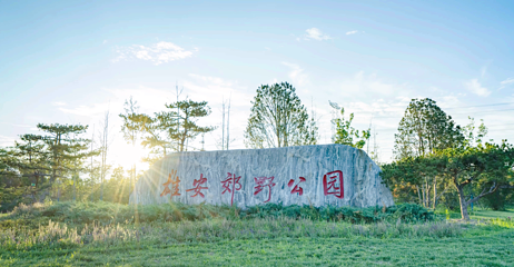 雄安郊野公园第 11 张图片