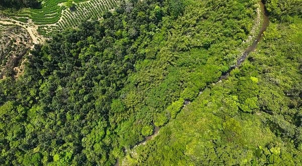 惠州雷公峡漂流