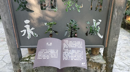 重庆南山植物园-兰园第 1 张图片