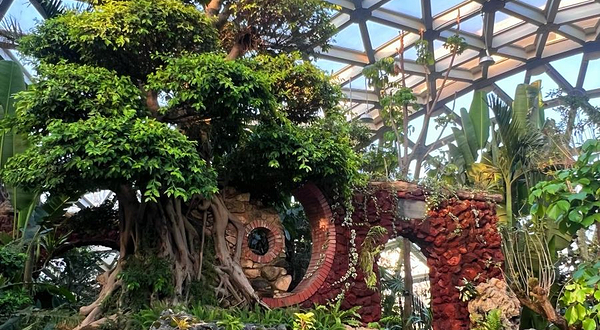 庐山植物园山南分园北区