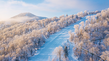 亚布力新体委滑雪场第 24 张图片