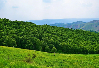 敕勒川高山草原第 20 张图片