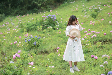 鹿野花塔第 21 张图片