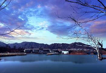 龙泉湖湿地第 6 张图片