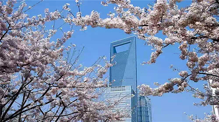 上海环球金融中心第 11 张图片
