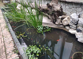 西郊山林休闲养生度假公园