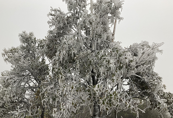 皇后山生态旅游度假区第 46 张图片