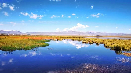 若尔盖花湖生态旅游区第 6 张图片