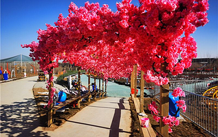 忘忧湖萌宠乐园