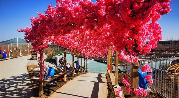 忘忧湖萌宠乐园