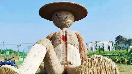 印象太安花海田缘休闲度假村第 1 张图片