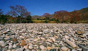 望兔桥银色沙滩