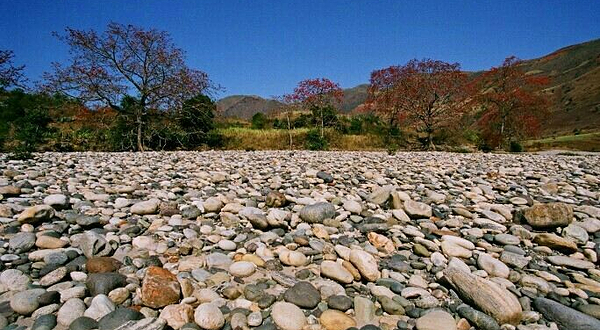 望兔桥银色沙滩